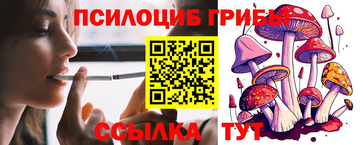 Псилоцибиновые грибы ЛСД Кириши