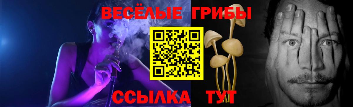 Псилоцибиновые грибы Cubensis  Вход с VPN  Кириши 
