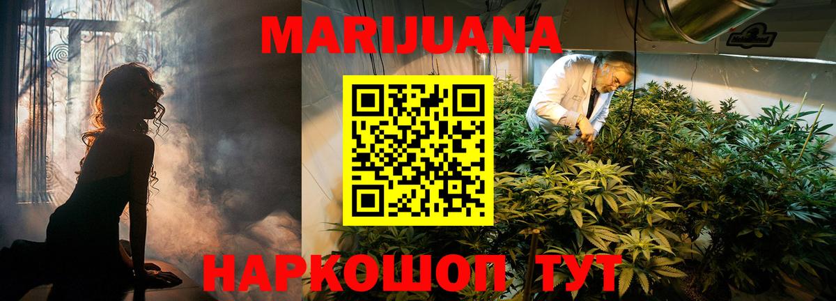 Конопля сатива Кириши